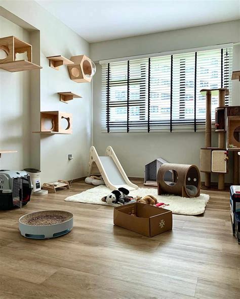 Cat Room .